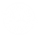 Publish Icon